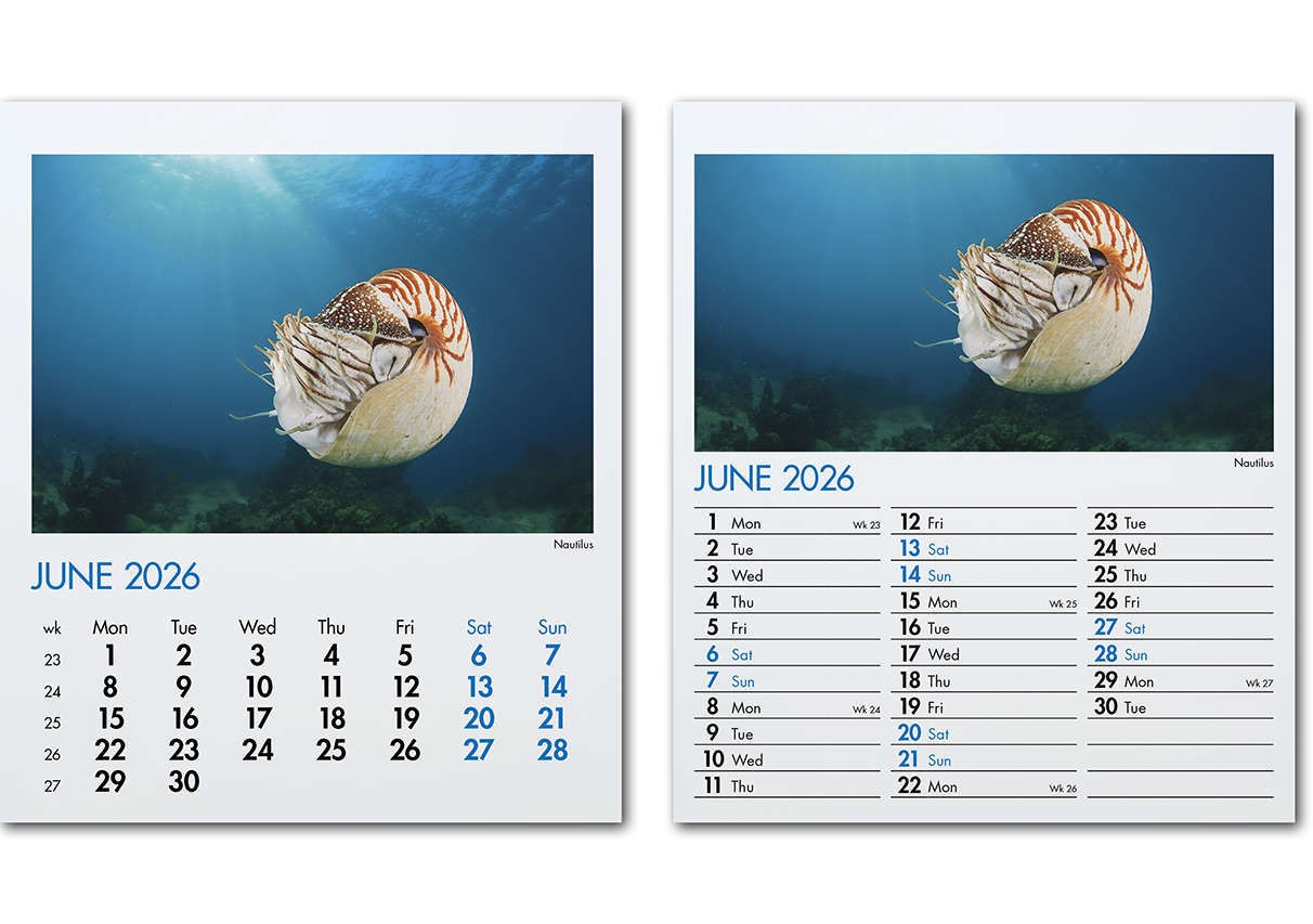 Blue Planet Mini Desk Calendar