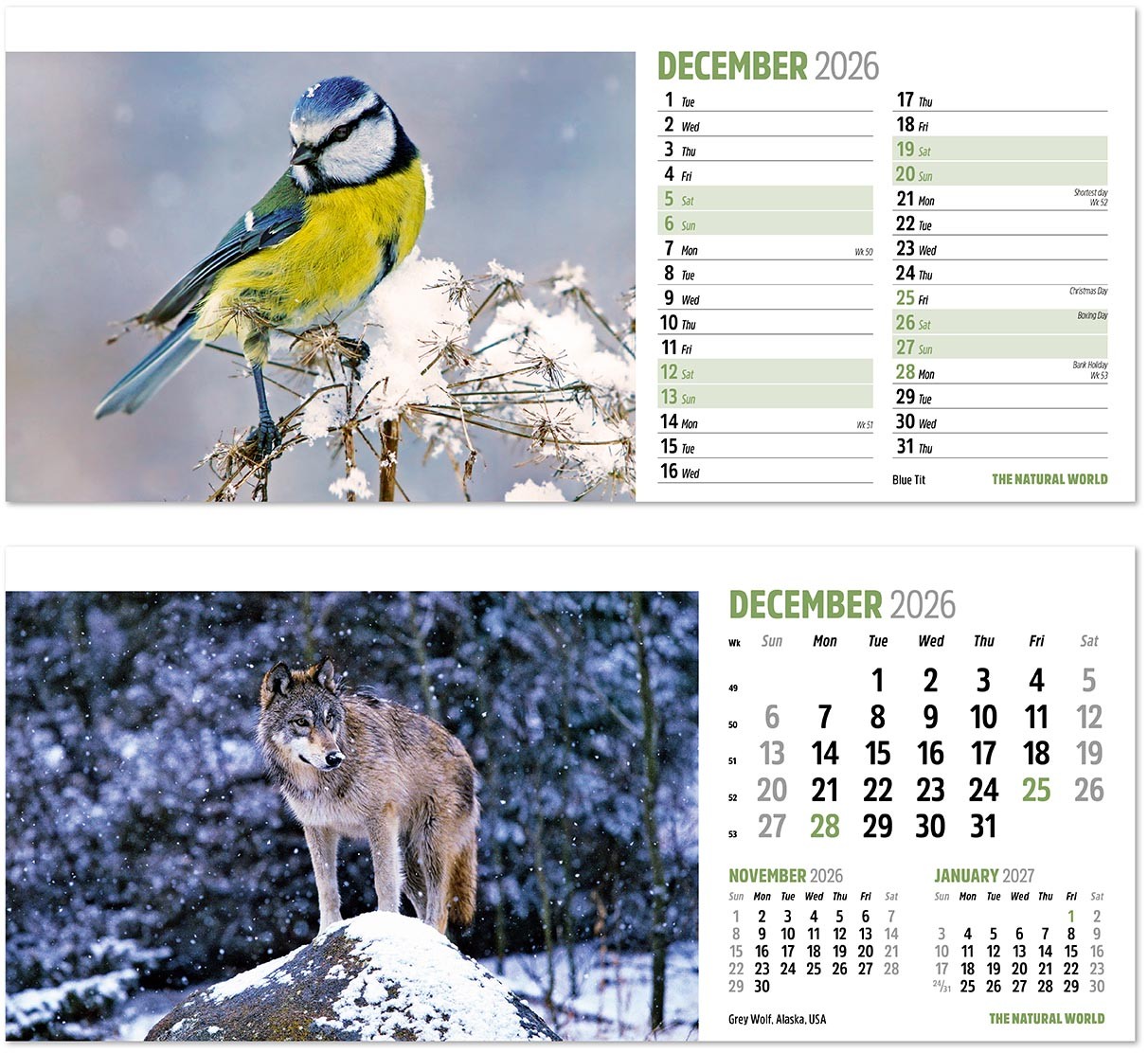 The Natural World Desk Calendar