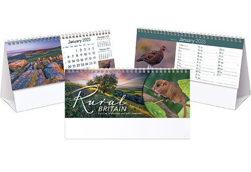 Rural Britain Desk Calendar