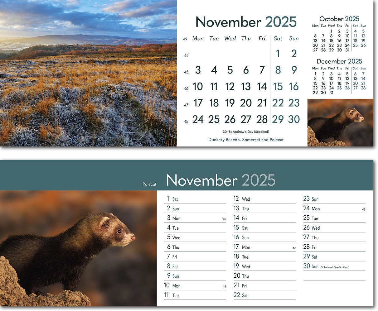 Rural Britain Desk Calendar