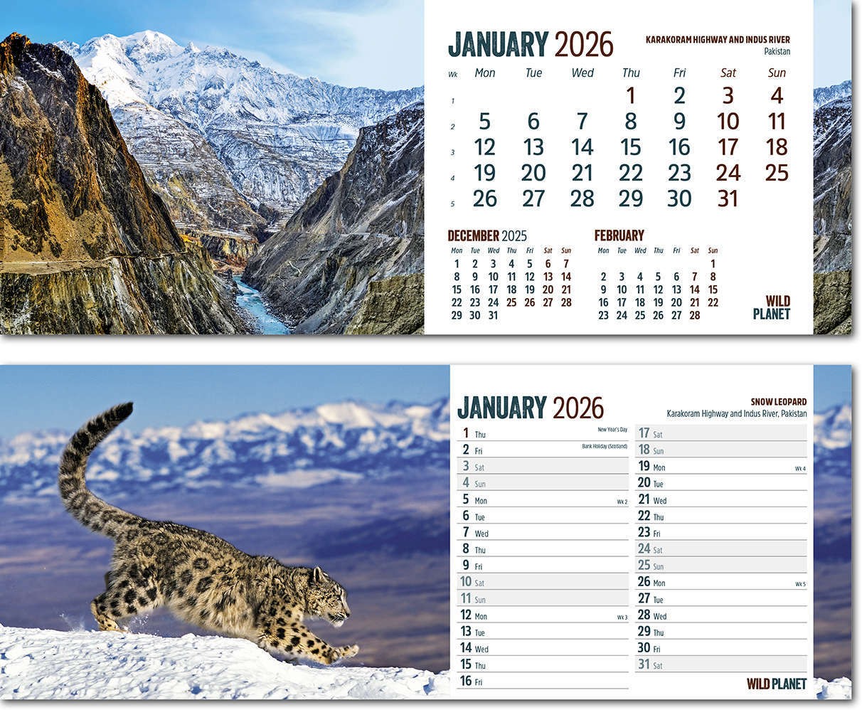 Wild Planet Premium Lined Easel Desk Calendar