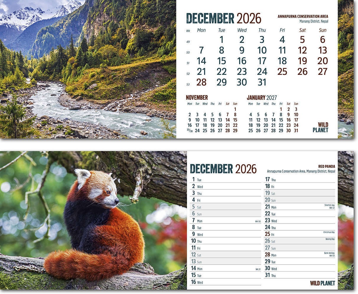 Wild Planet Task Station Desk Calendar