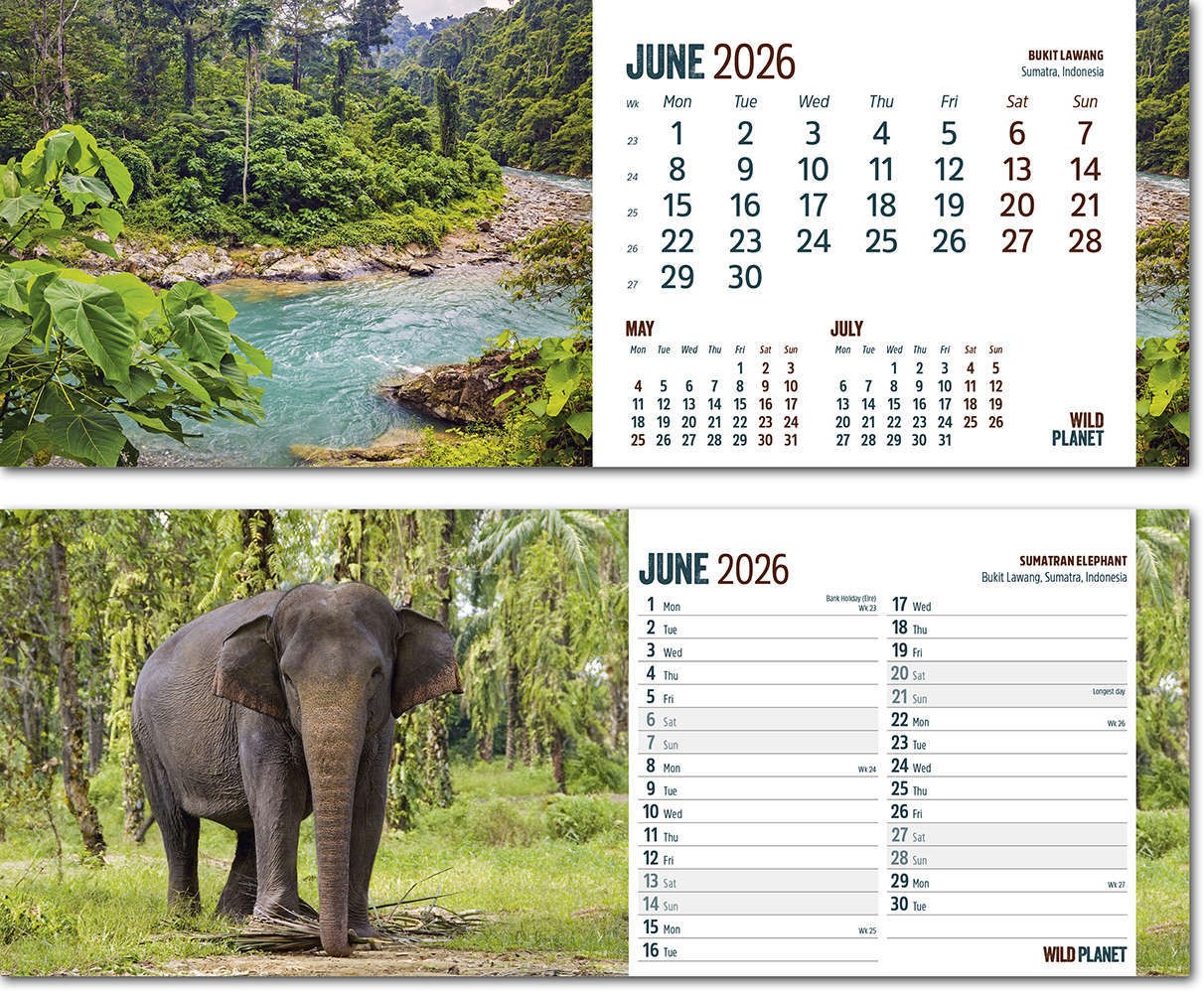 Wild Planet Task Station Desk Calendar