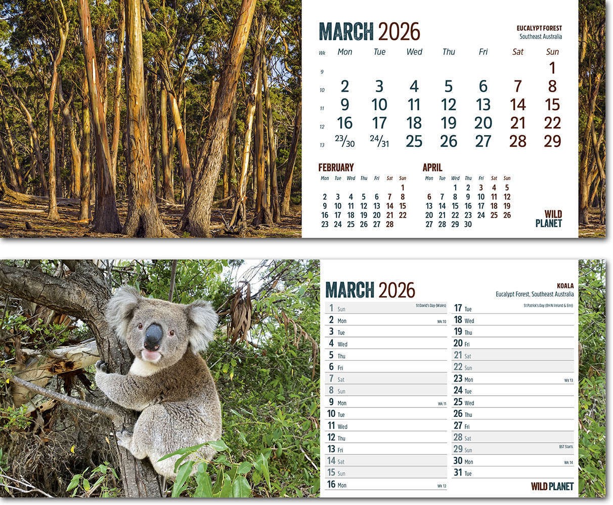 Wild Planet Task Station Desk Calendar