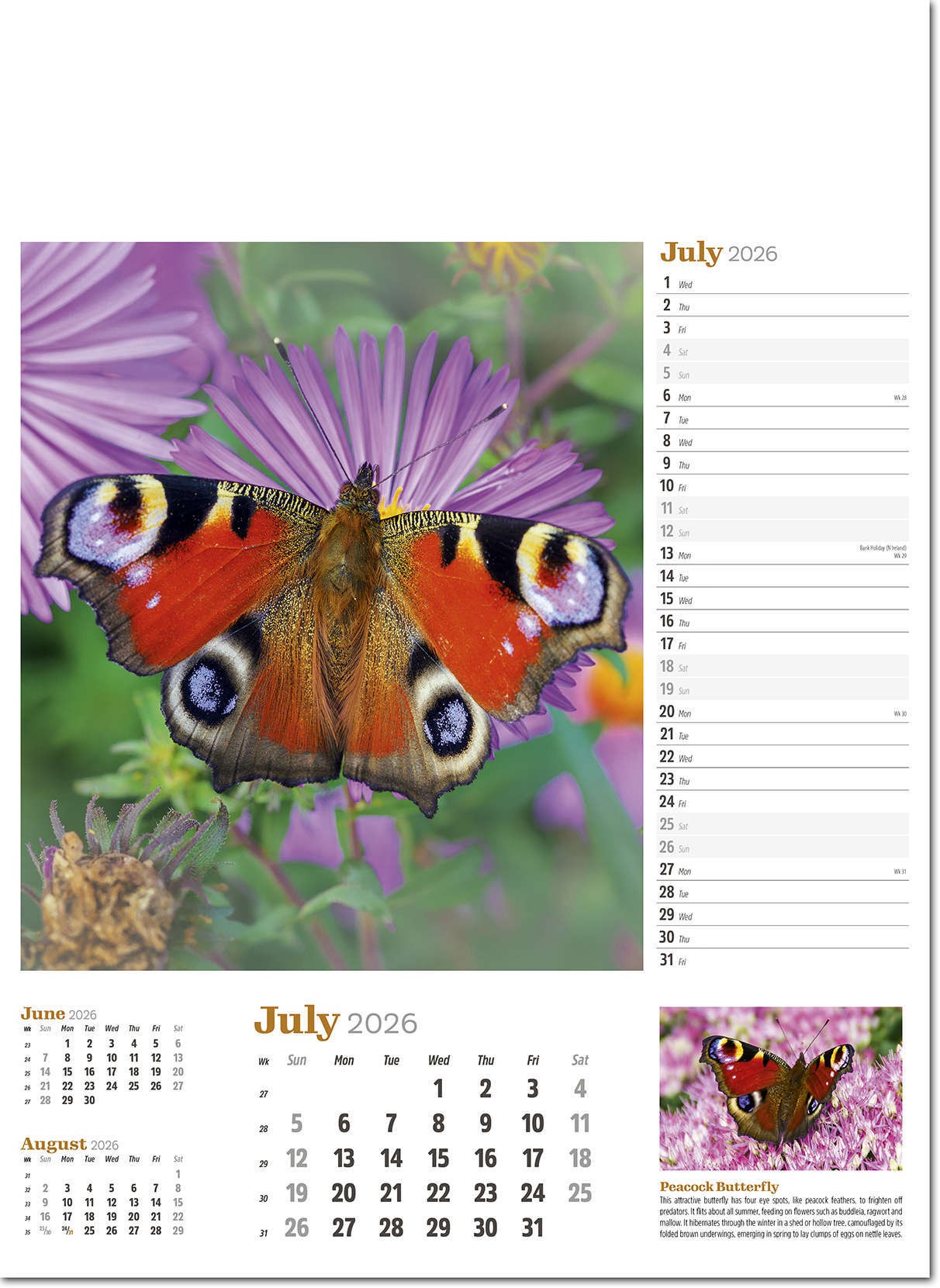 Wildlife in Britain Wall Calendar