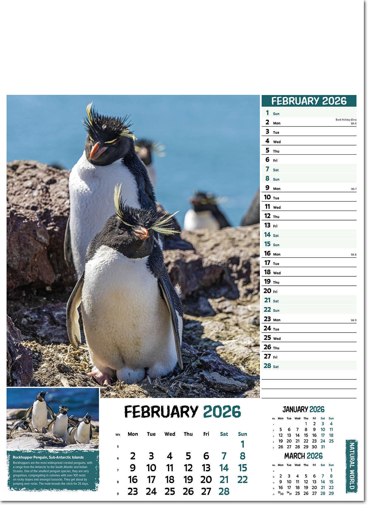 Natural World Wall Calendar