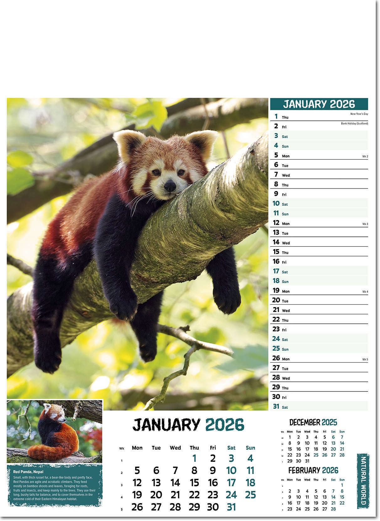 Natural World Wall Calendar