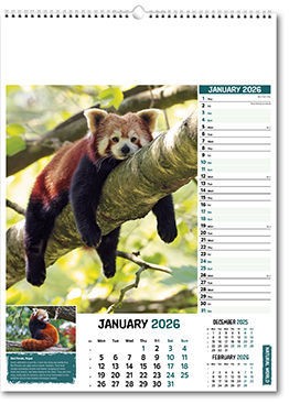 Natural World Wall Calendar