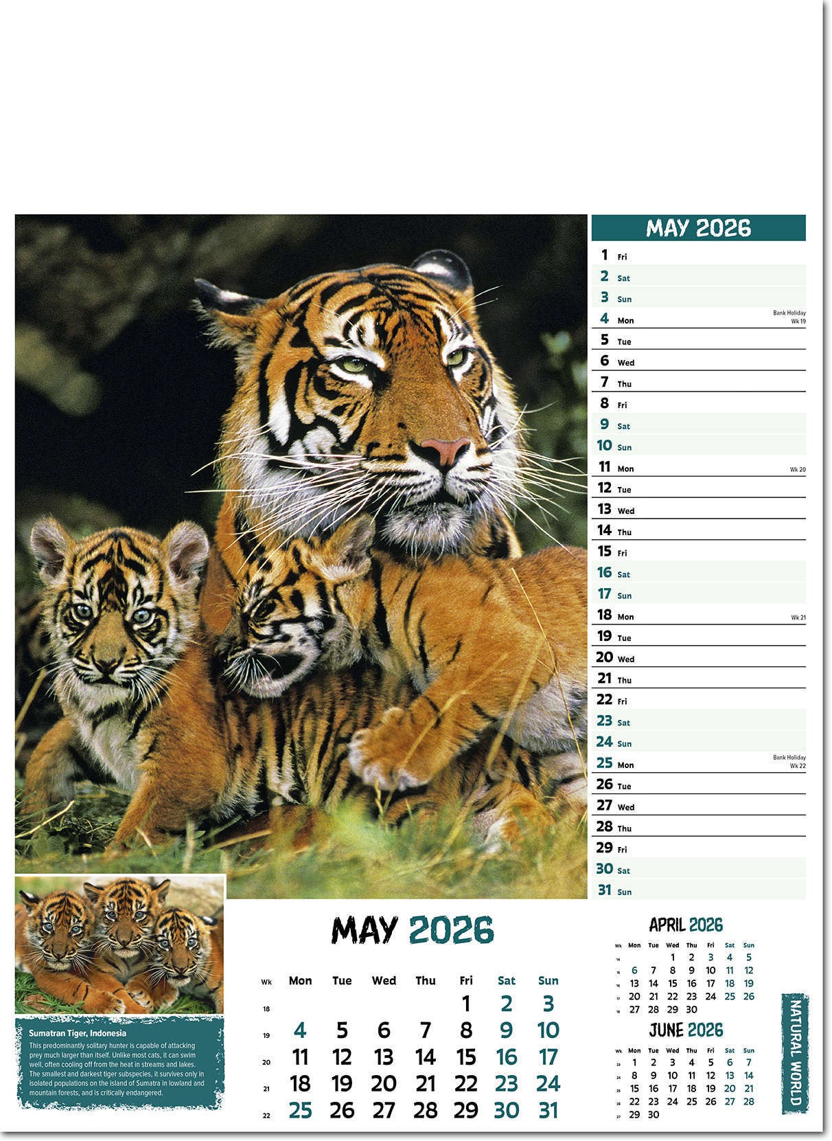 Natural World Wall Calendar