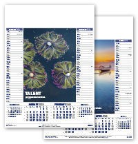 Insight Calendar