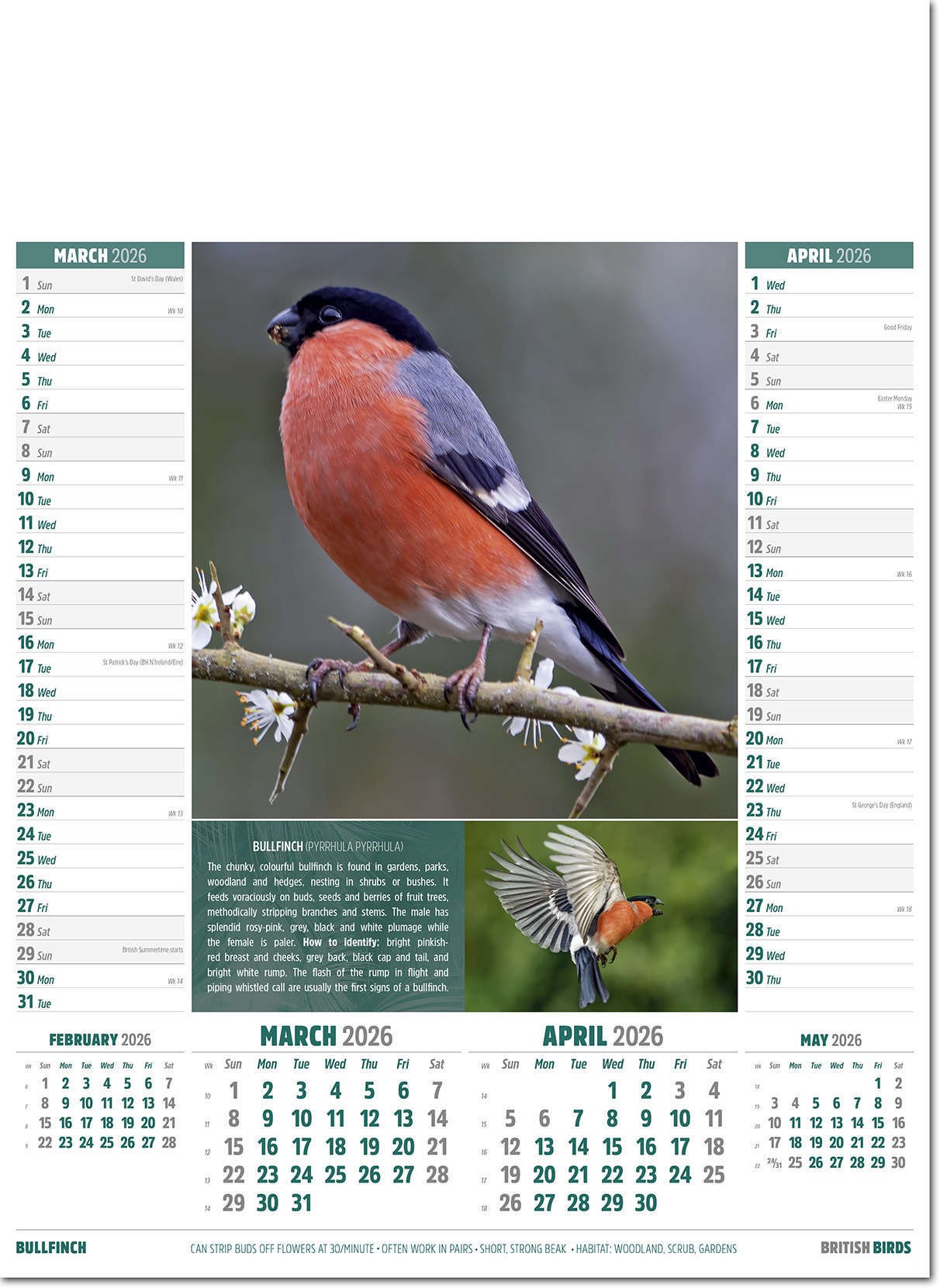 British Birds Calendar