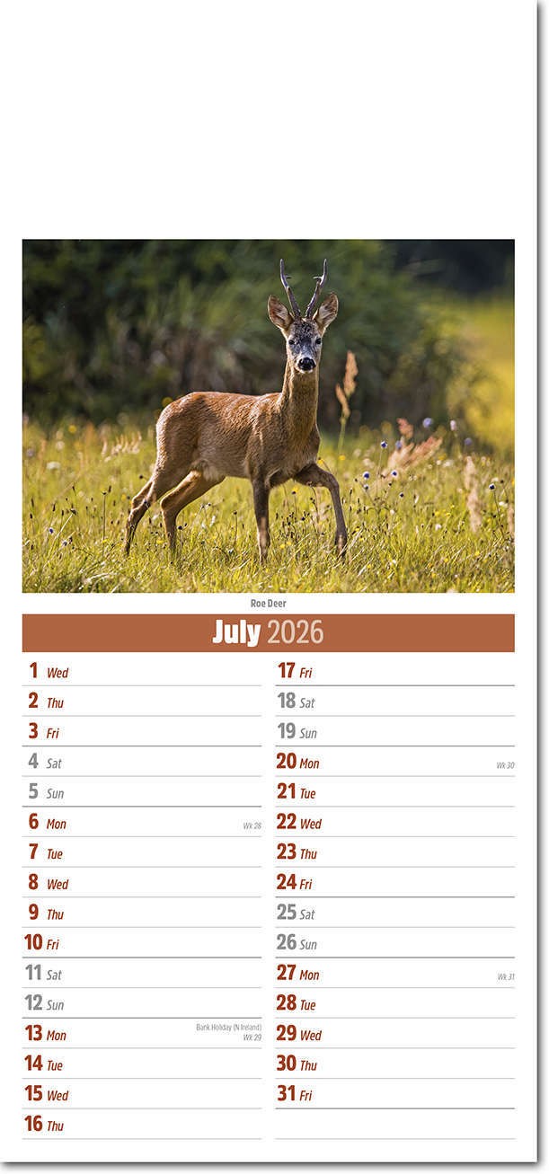 Slimline British Wildlife Compact Calendar